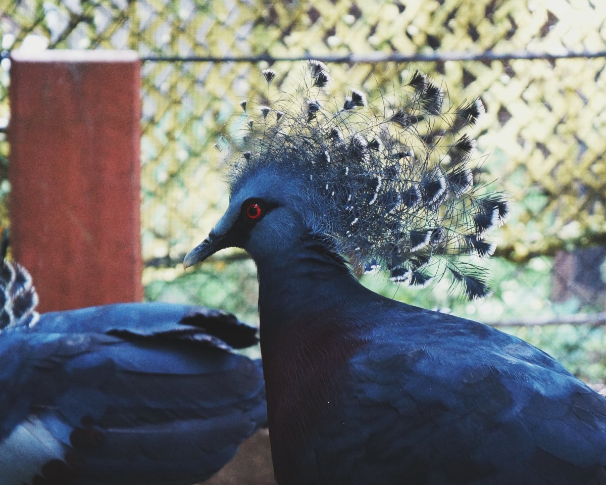 美しすぎて悶え