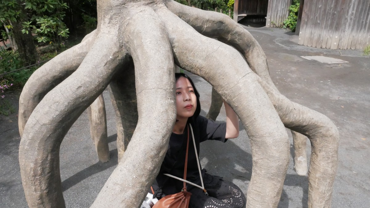 動物園内の動物全く関係ないエリアにて