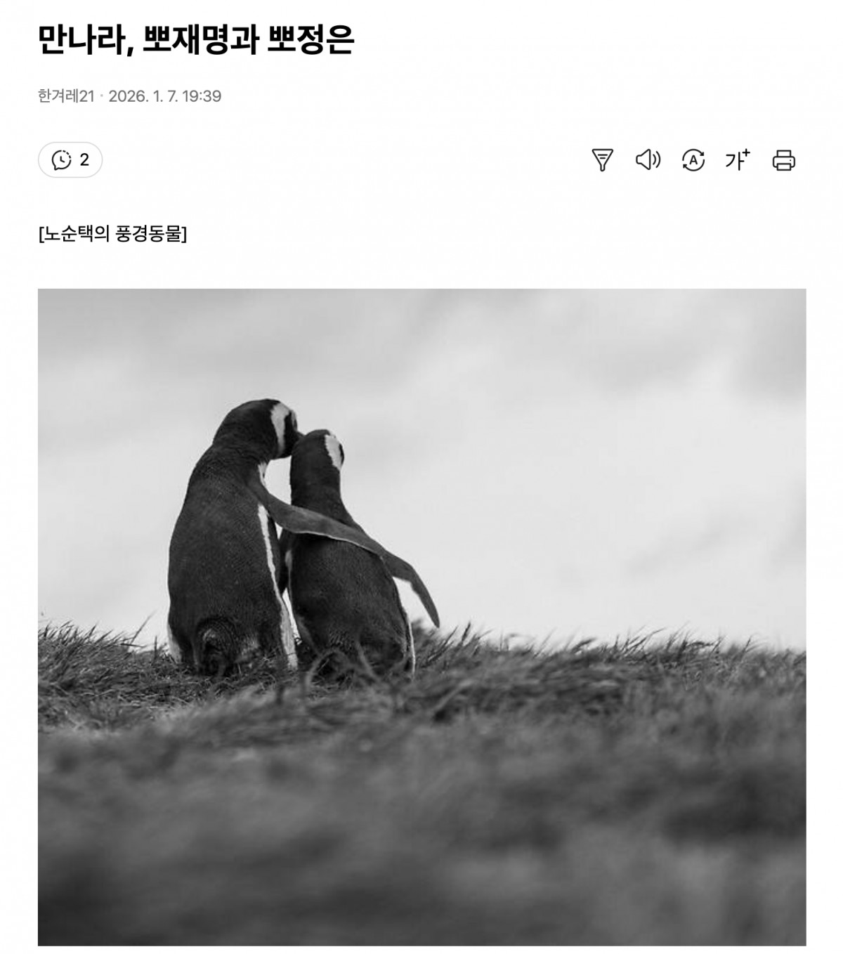 コラムに掲載された写真。クリックでコラムのページ（韓国語）に飛びます。全部読んでから飛んでください笑