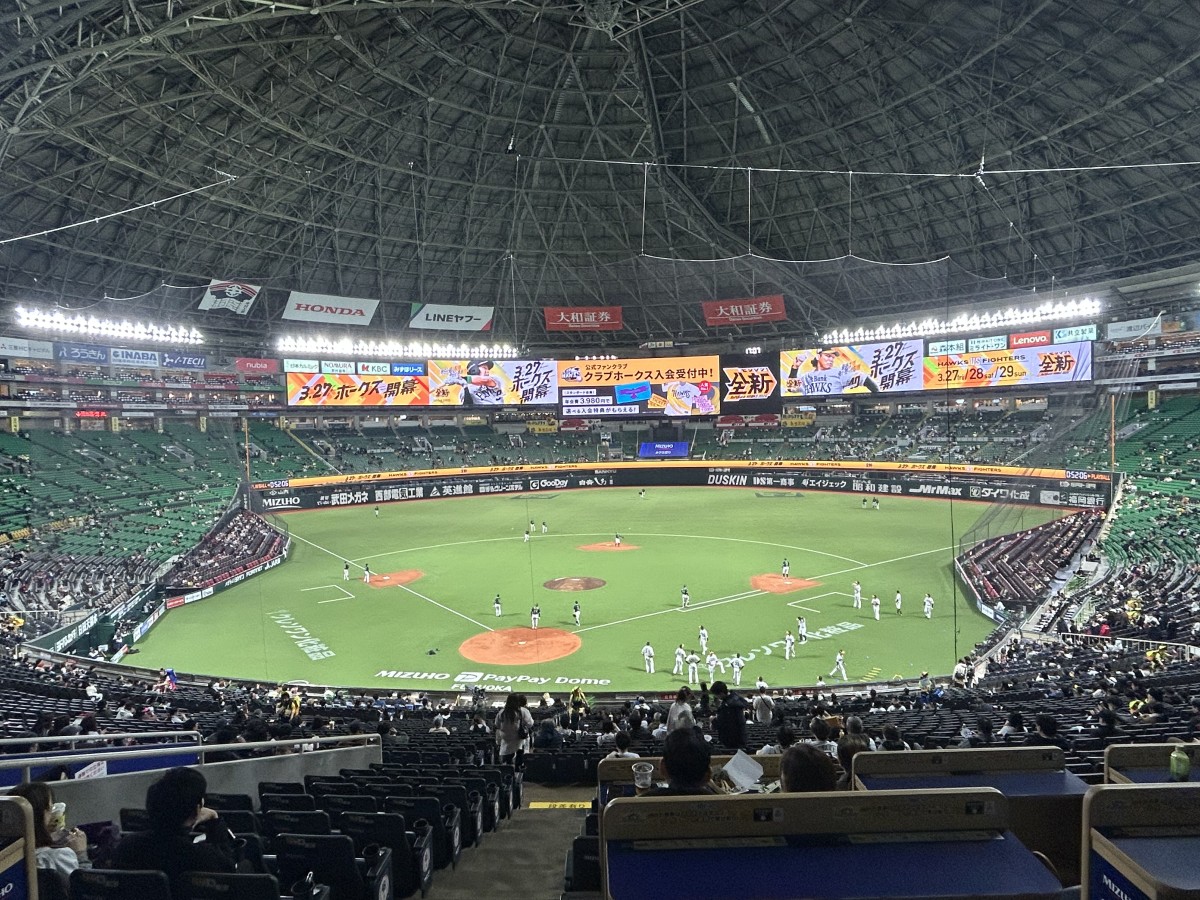 20206年3月3日撮影。バックネットも高くなりました