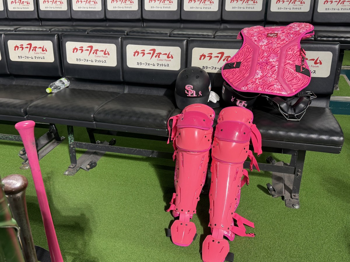 レガースもピンク