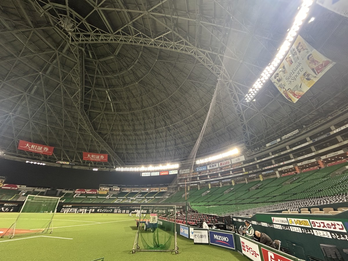 コカ・コーラシートもネットで覆われています