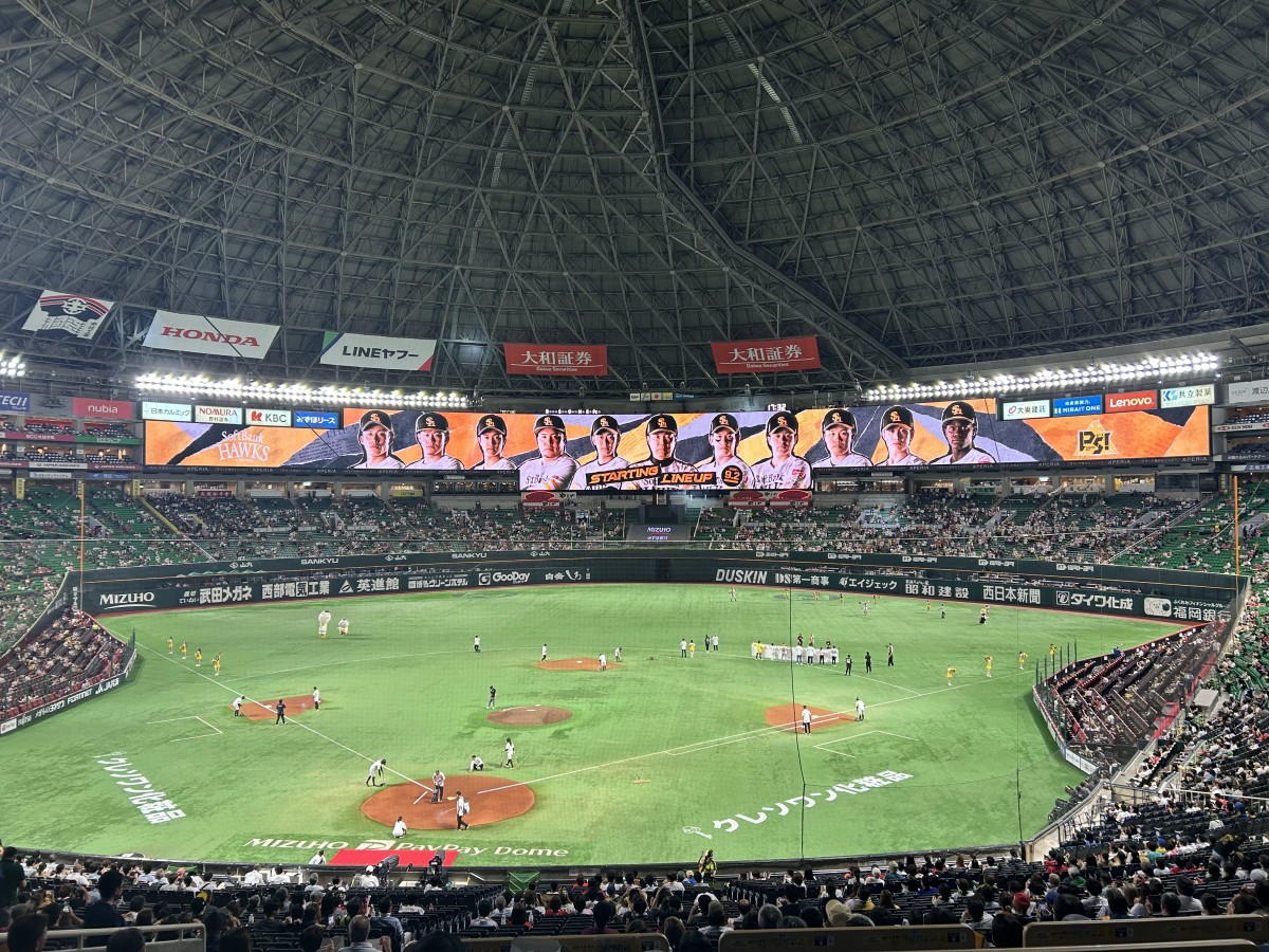 昨年、同じ場所から撮ったもの。バックネットの最上部がバックスクリーンの下部に掛かるくらい。やはり全然違いますね