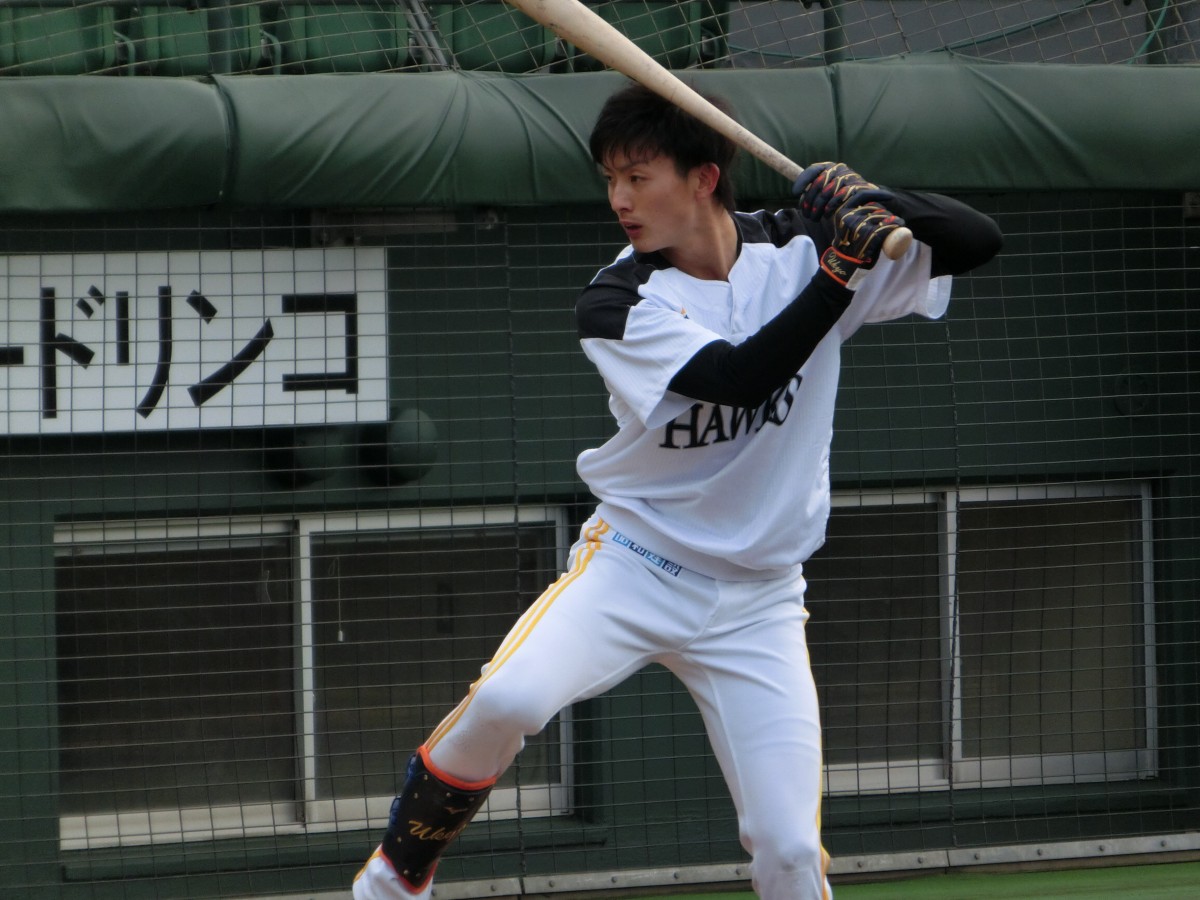 2019年に撮影。このほか「記事の続き」で懐かしい写真も掲載