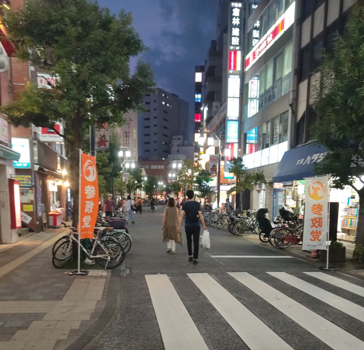 (参政党の旗が立てられた、えるもーる烏山メイン通り)