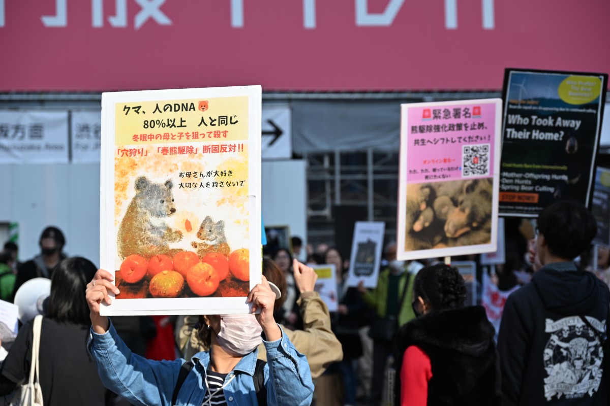 （遺伝子の類似性で判断するのか･･･うーむ）