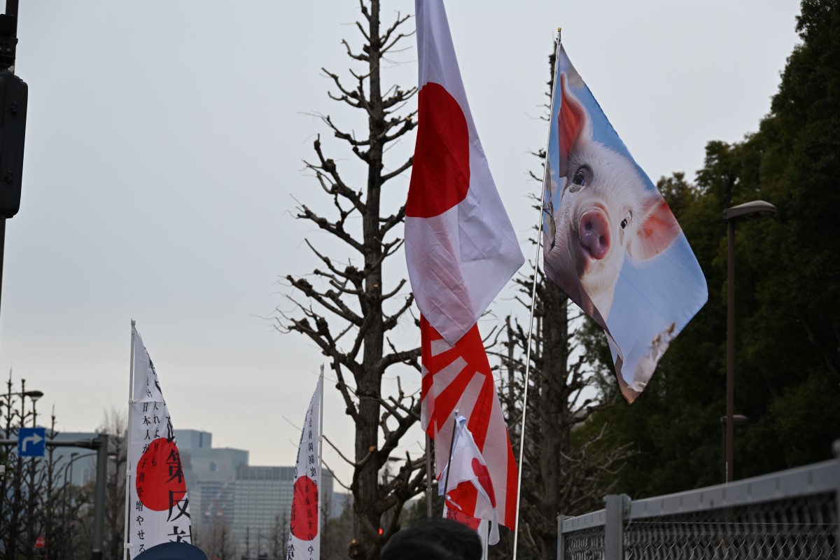 （現場で掲げられた豚の旗など）