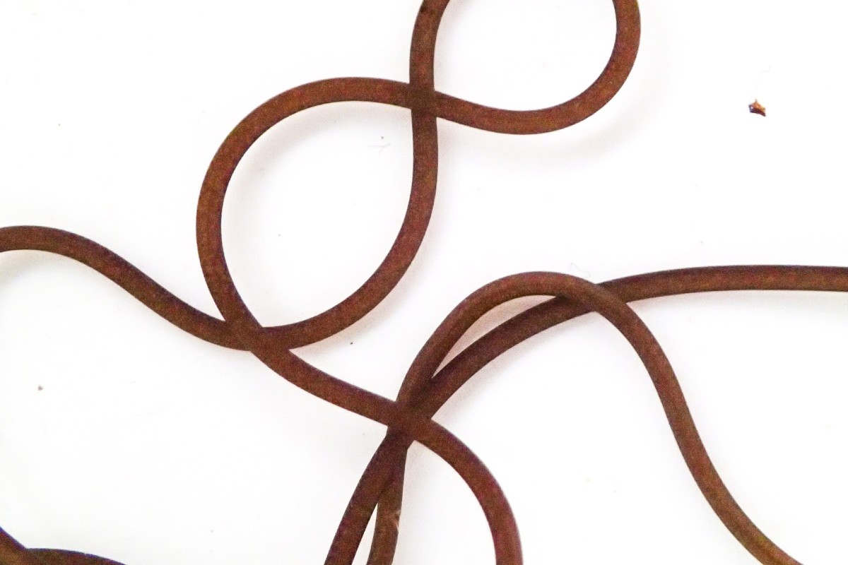 ハリガネムシはカマドウマやカマキリなどの寄生虫で、繁殖のためにカマキリを水辺に行くように体内から操作することで知られる。