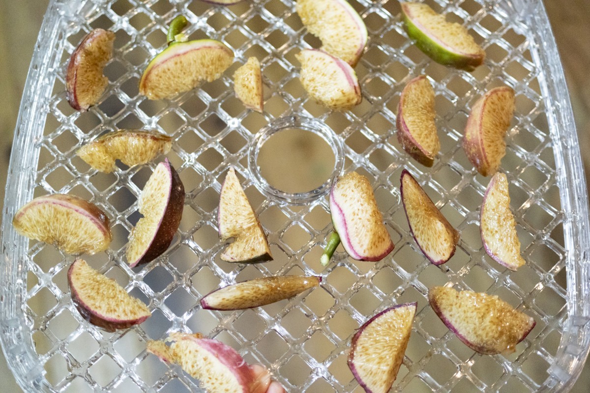 ドライフルーツメーカーがあるので、ドライにしてみたらめっちゃ良い感じ。ドライいちじくより甘さが濃い。