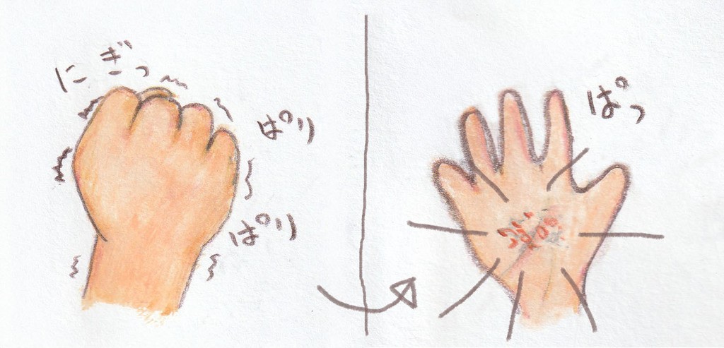 セミの抜け殻が、こんなことに&hellip;！