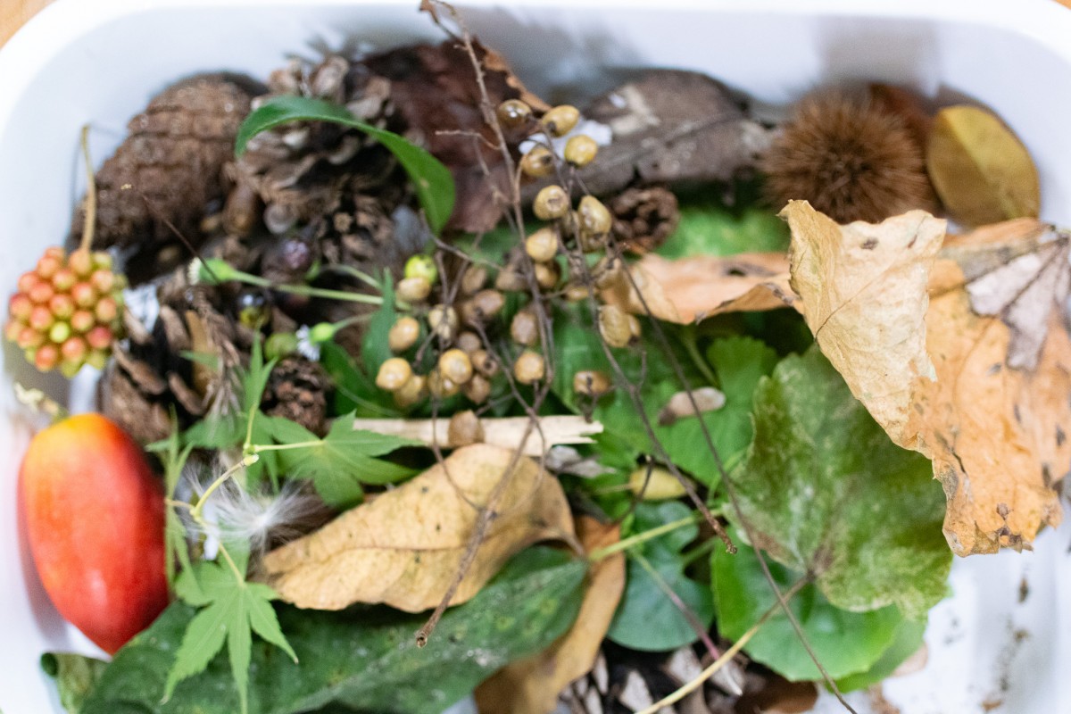 筑紫女学園大学の受講生たちが集めたものたち
