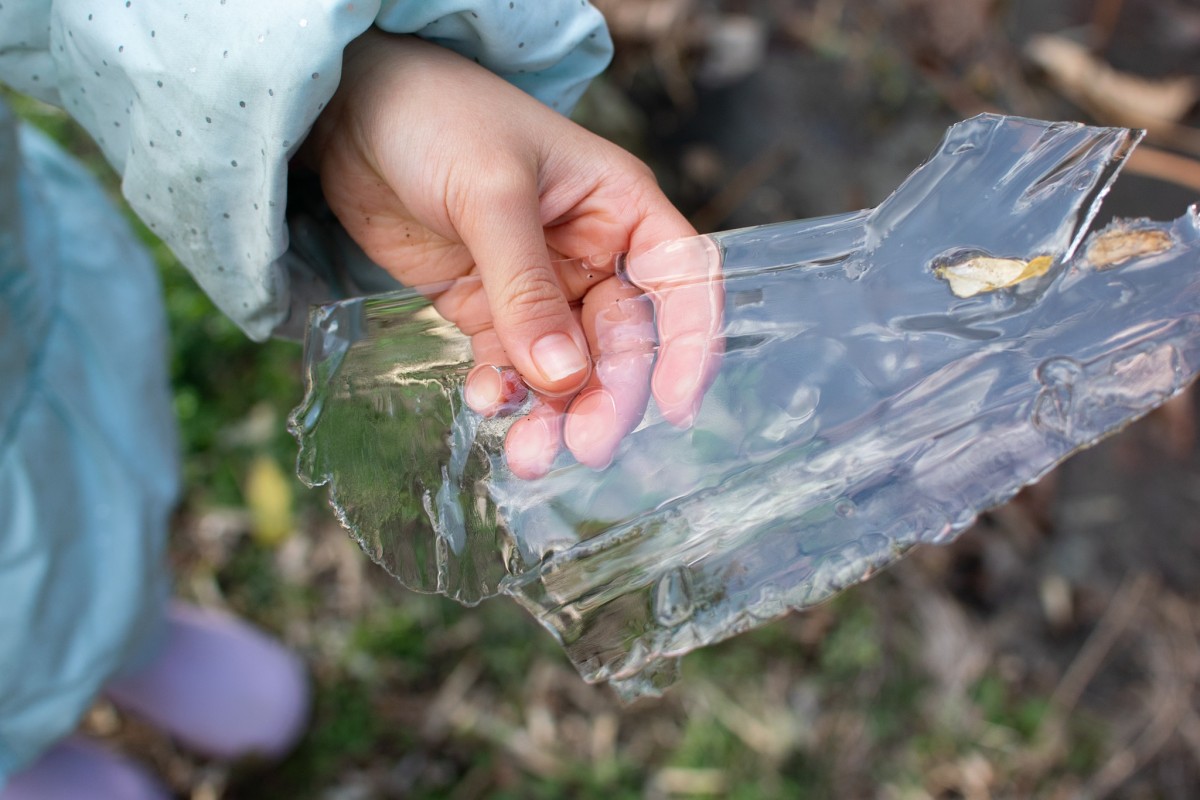 写真はフリースクールでの一場面。寒くなってきましたね。ニホンアカガエルは産卵シーズンです。