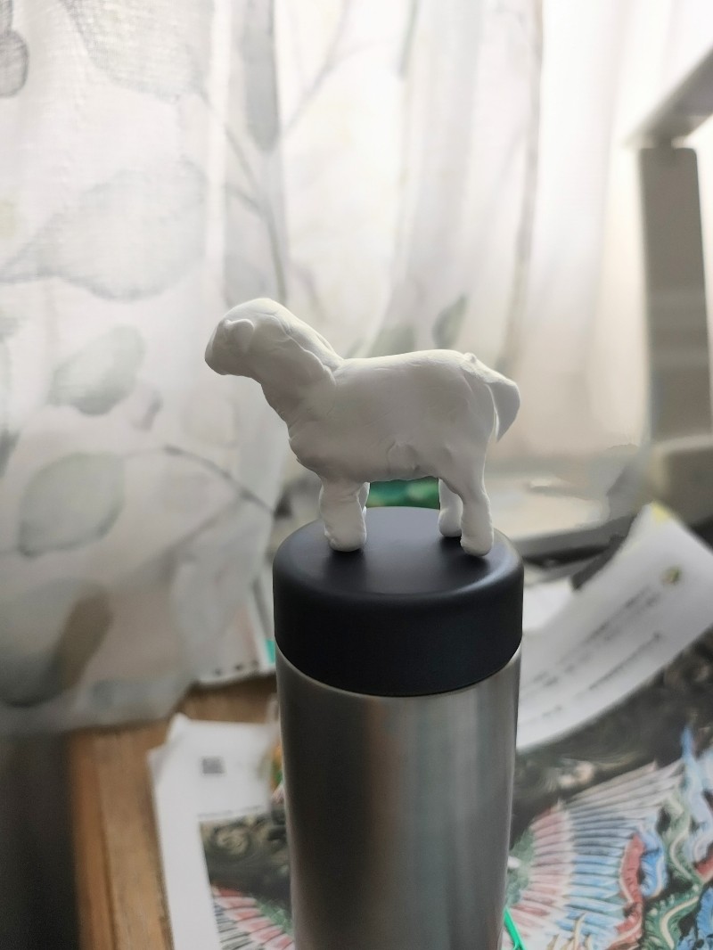 水筒の上に乗せてみた