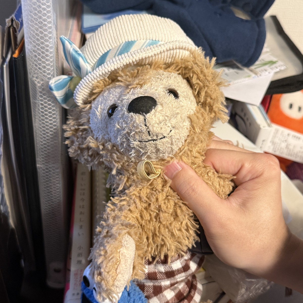 うちの可愛い可愛いダッフィーのぬいぐるみです。名前はパペコ。手を入れて動かせるパペットだからパペコ。パペコの背後にあるのは小沼理さんの『悲しい話は今はおしまい』。反対側に見えるのは安堂ホセさんの『DTOPIA（デートピア）』。その奥にあるのは Fall Guys というゲームのキャラクターのぬいぐるみで、UFO キャッチャーで2000円かけて取った子です。