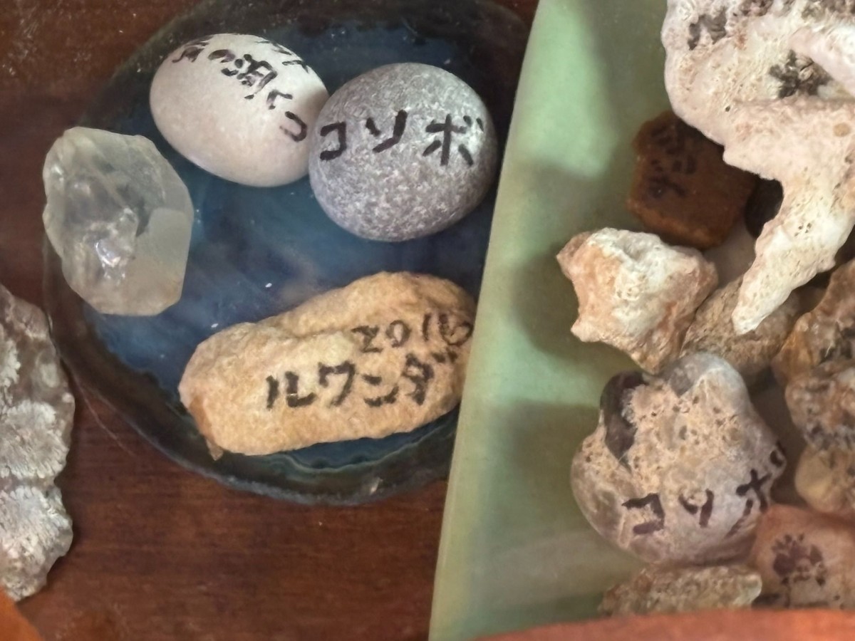 ご両親が行っていた旅の思い出を高橋さんも踏襲