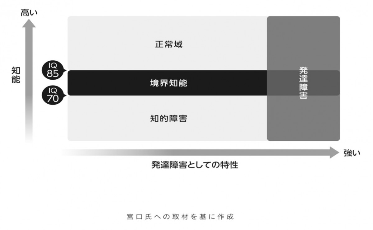 ＊『発達障害大全　― 「脳の個性」について知りたいことすべて』（黒坂真由子）日経BPより