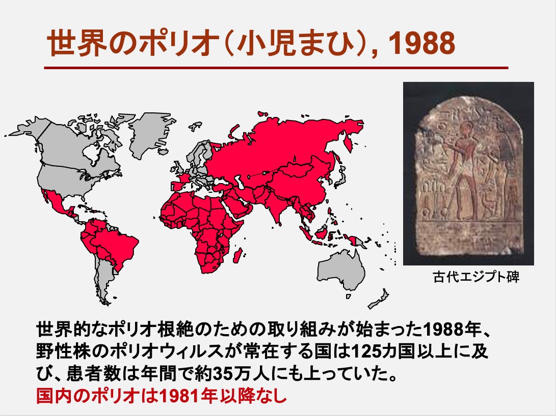 岡部信彦さん提供
