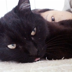 坂元希美のレター Care killed the Cat？ のサムネイル