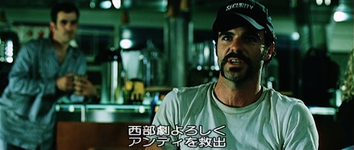 『ドーン・オブ・ザ・デッド』ザック・スナイダー監督、2004年(DVD、ポニーキャニオン、2006年)