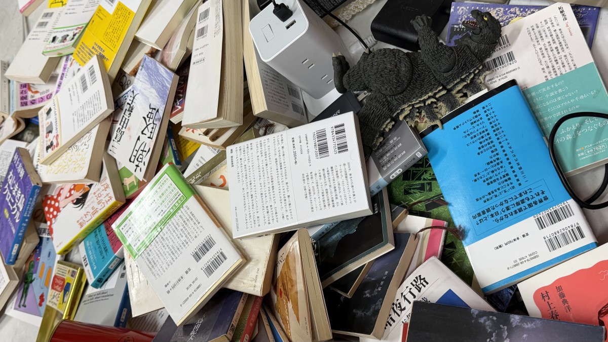 書棚からゴジラが降ってきた。