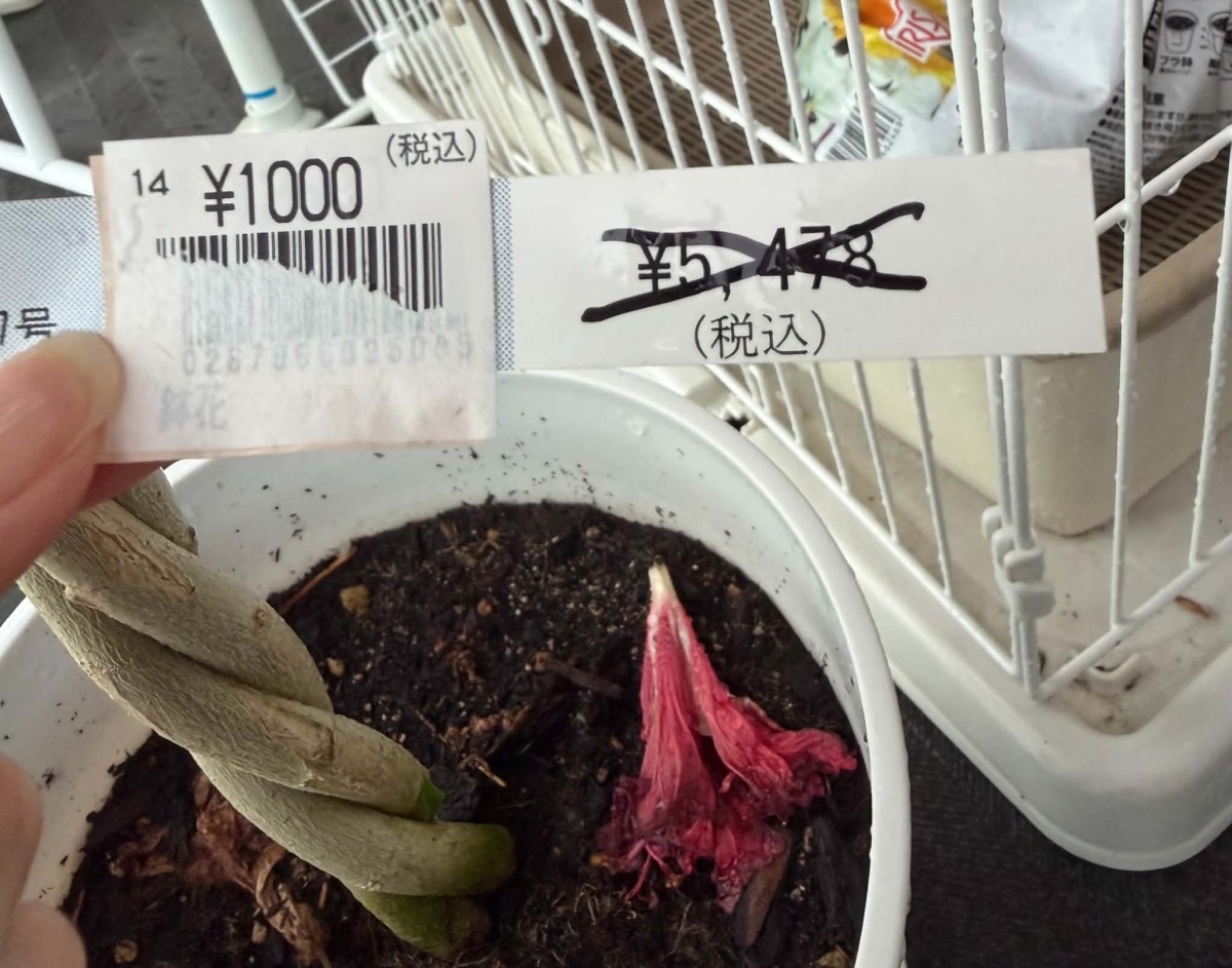 値下げの証拠を写真に収めてしまう庶民