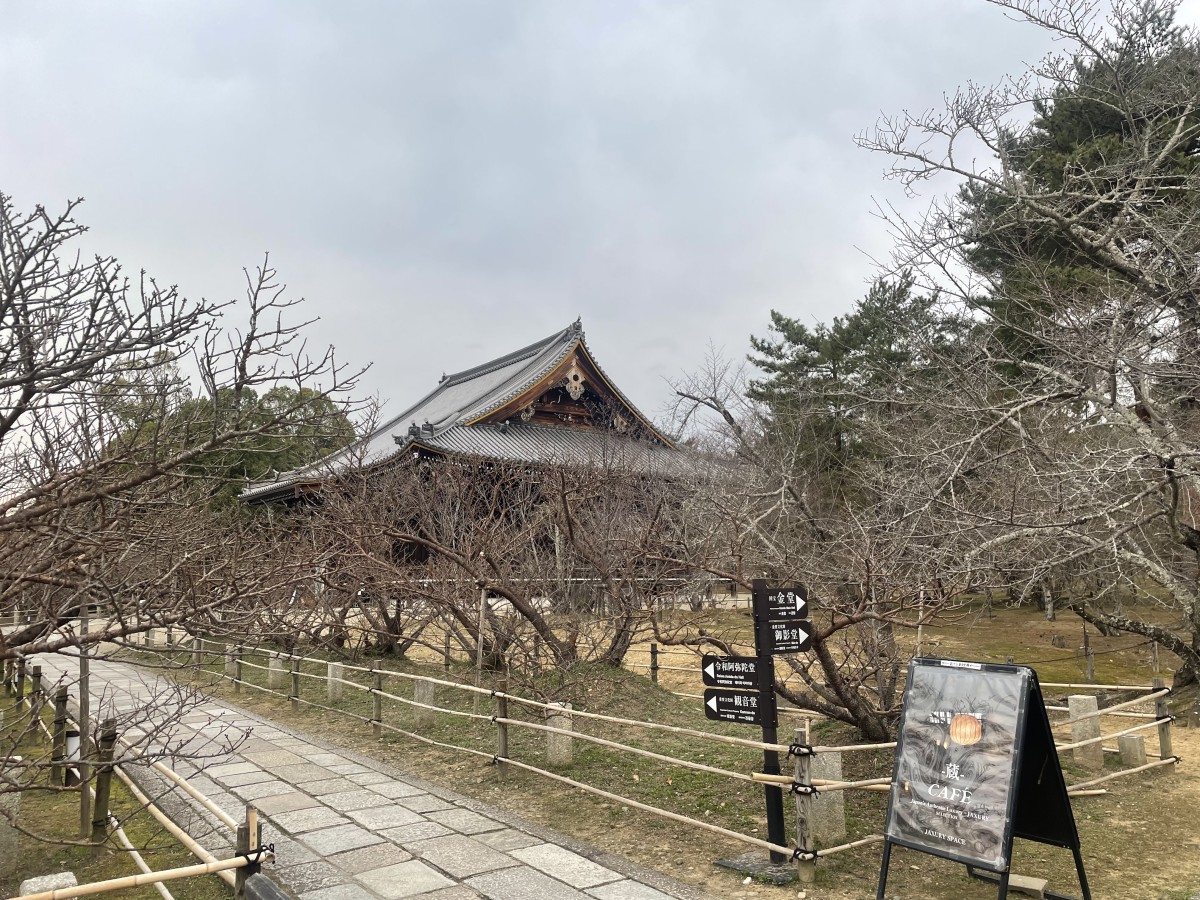 これは昨年3月の仁和寺。心の目で桜を感じてください