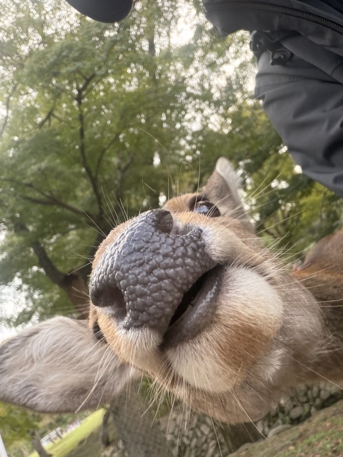 フレンドリーすぎる