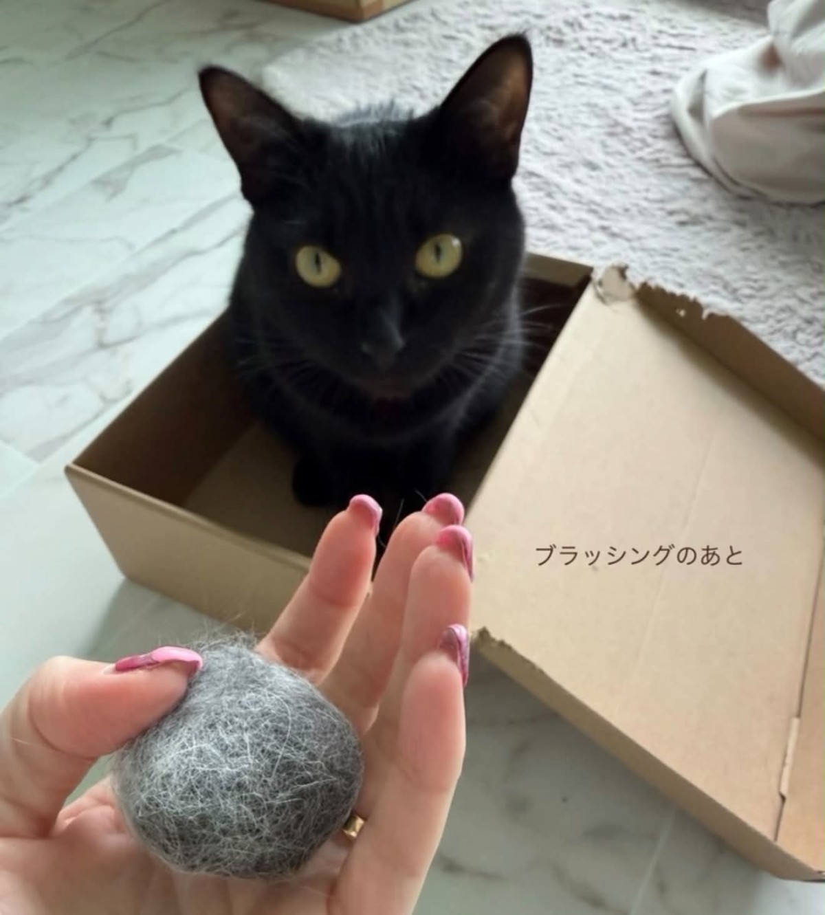 ねー、こたつ。