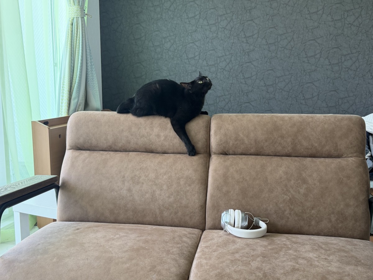 見つめている先には特に何もない