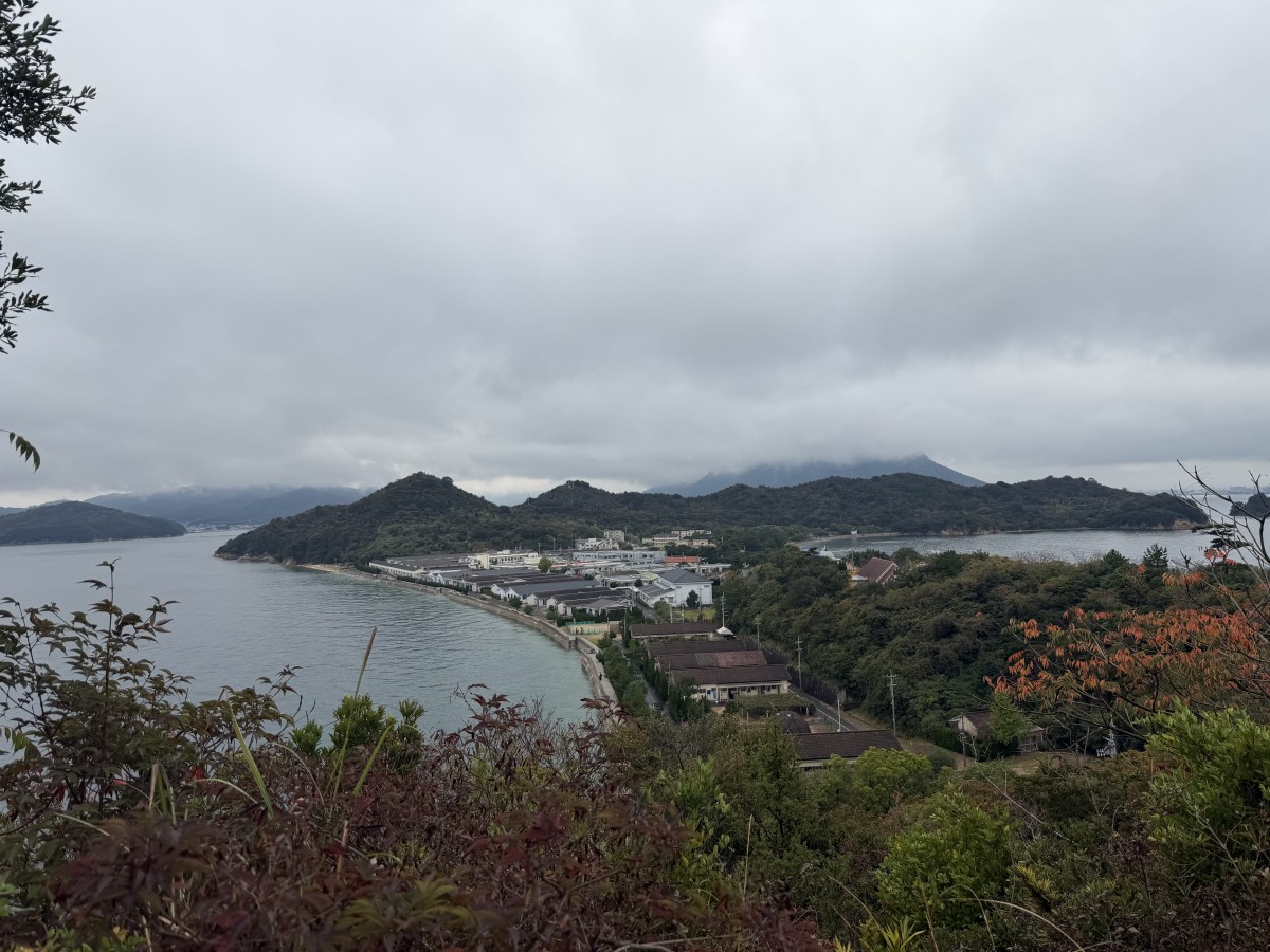 小高い丘（リングワンデリングの道）からの眺め