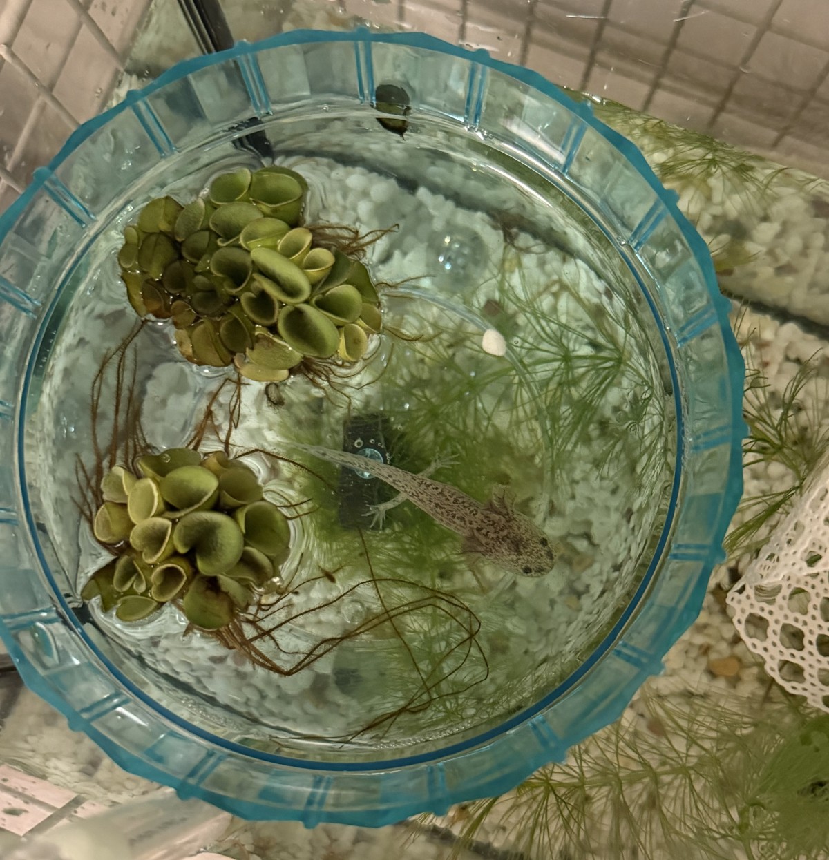 ちっちゃいね、赤ちゃんだね