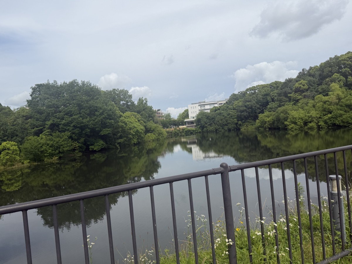 大学の中に池がある……