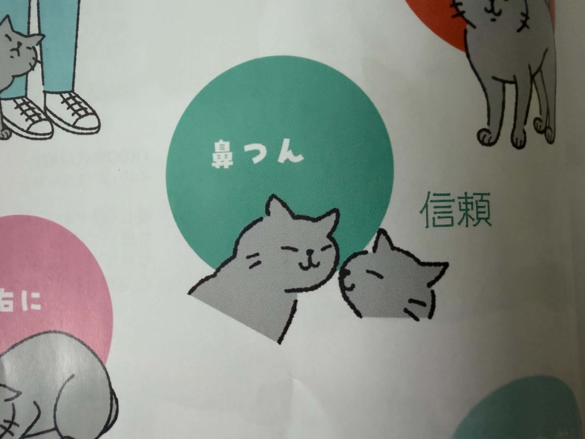 鼻つん