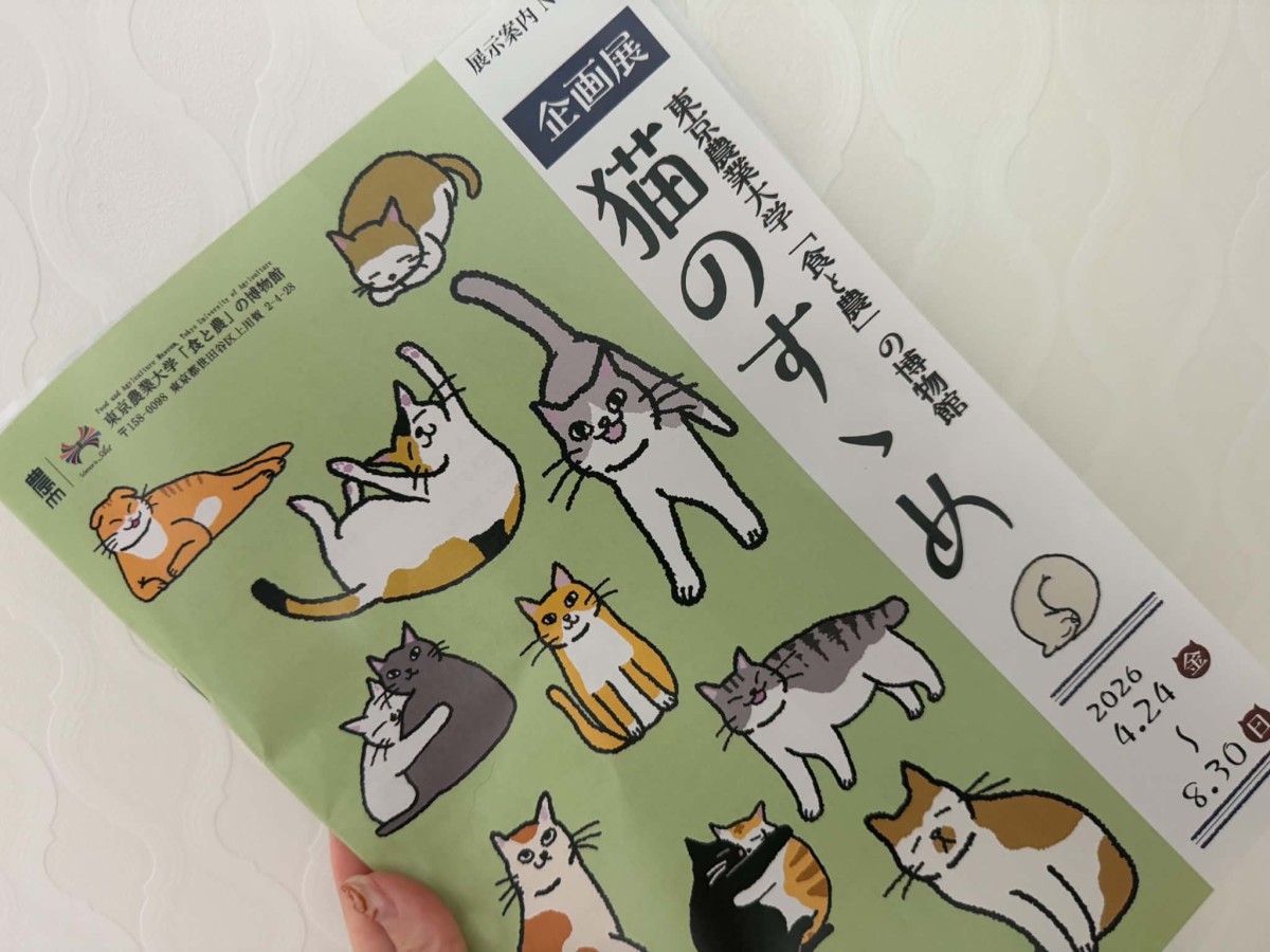 東京農業大学・企画展のパンフレット