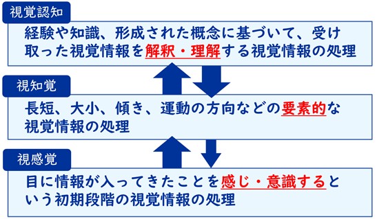 図1. 視感覚・視知覚・視覚認知の役割と関係：日本LD学会編「発達障害辞典」（2016, 丸善出版）を参考に作成