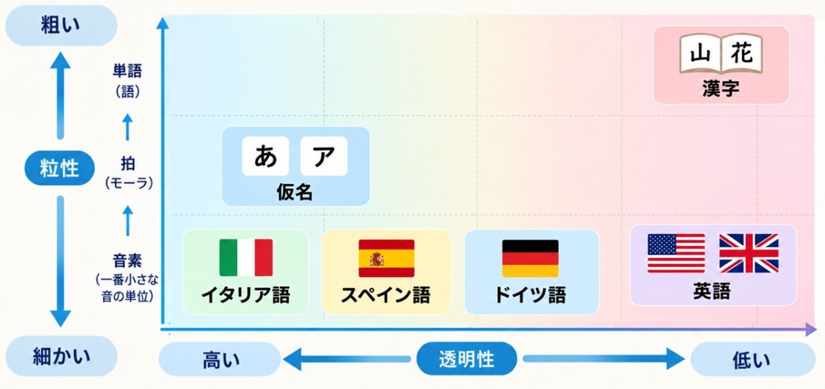 図1:書字体系における透明性と粒性の違い