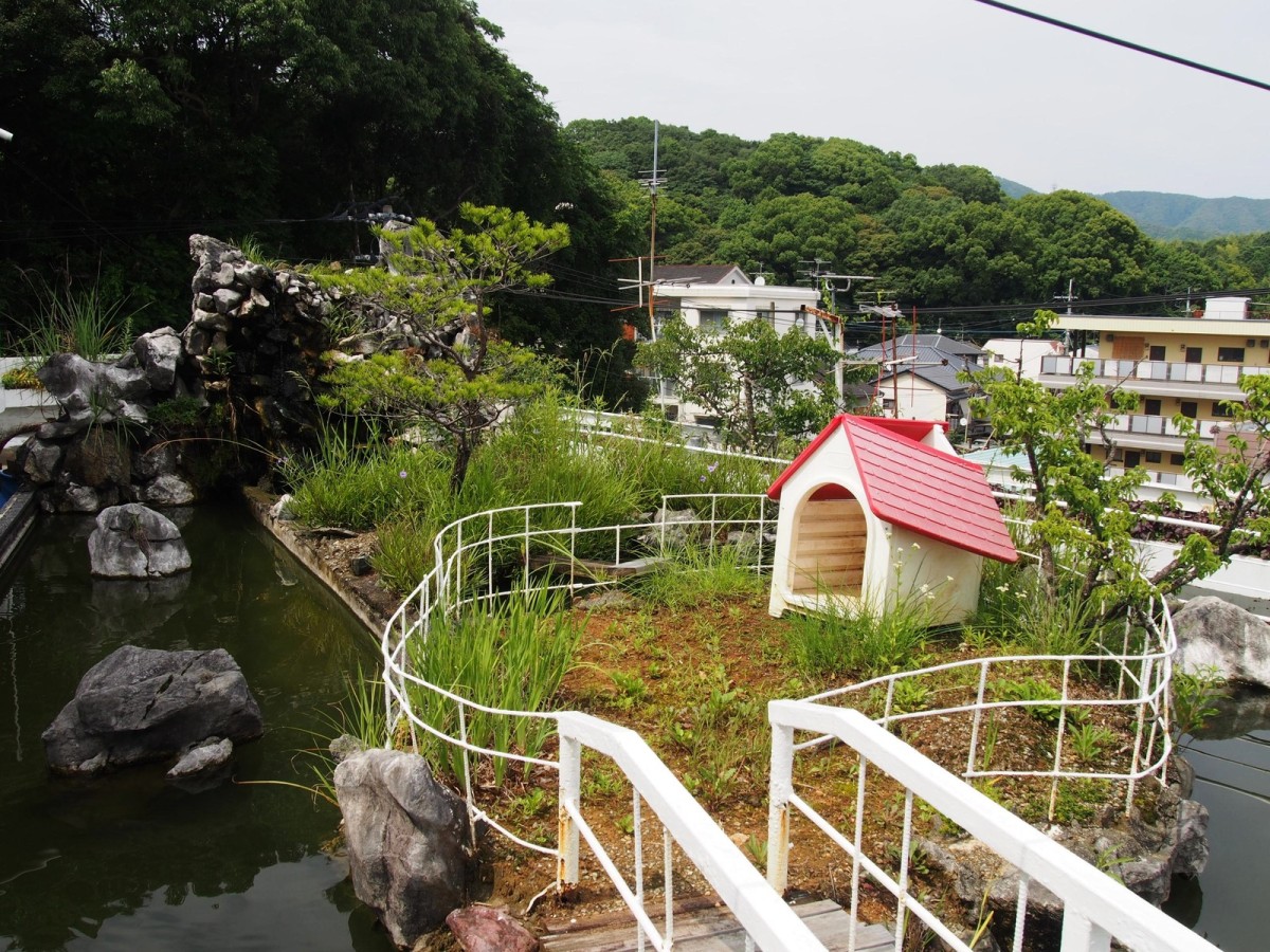 池があり滝が流れる楽園のような4階