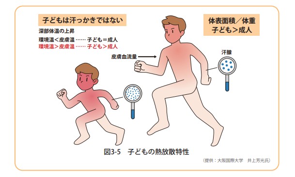 こどもと大人の熱放散特性　熱中症環境保健マニュアル 2022より