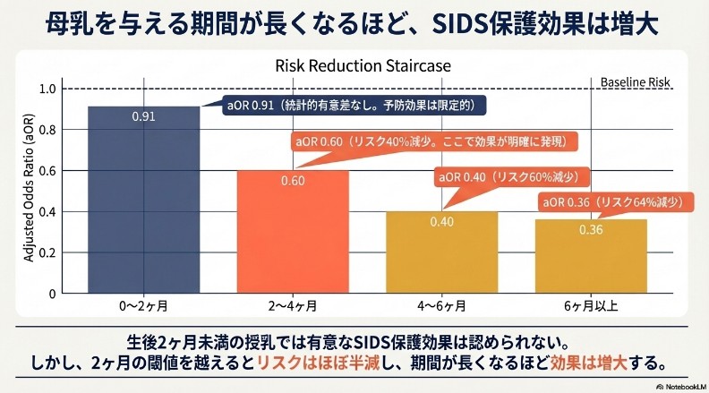 参考文献をもとにnotebookLMで作成