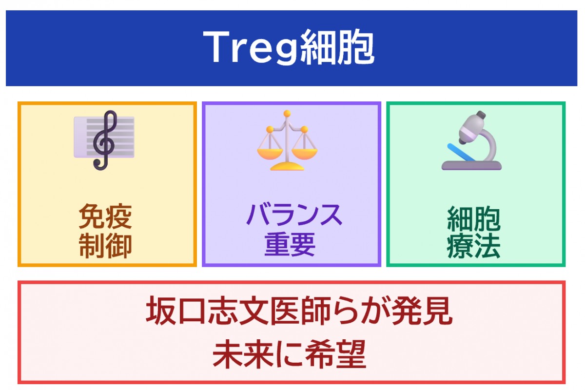 筆者作成