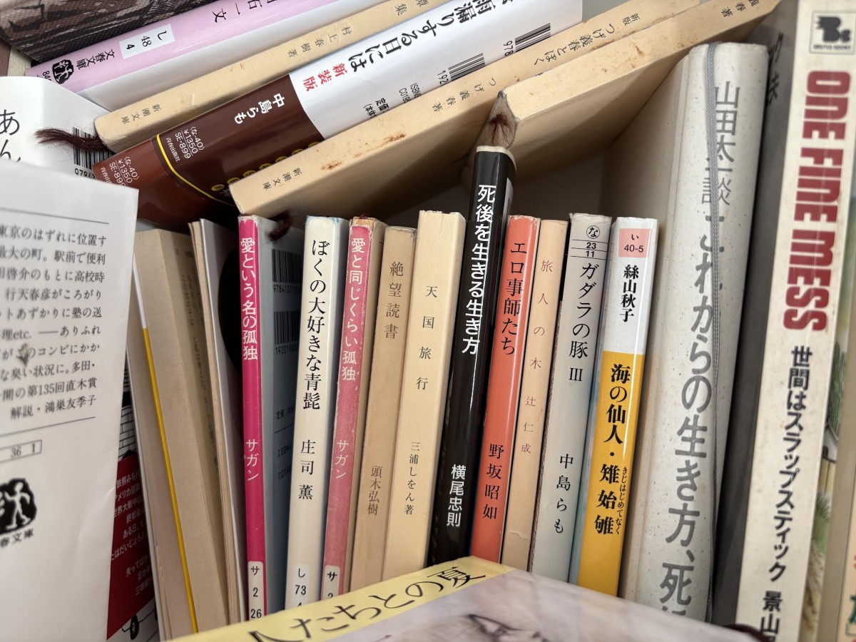 仕事場にこもっていて、写真がまったくないことにより、目の前の本棚の写真でご勘弁を。