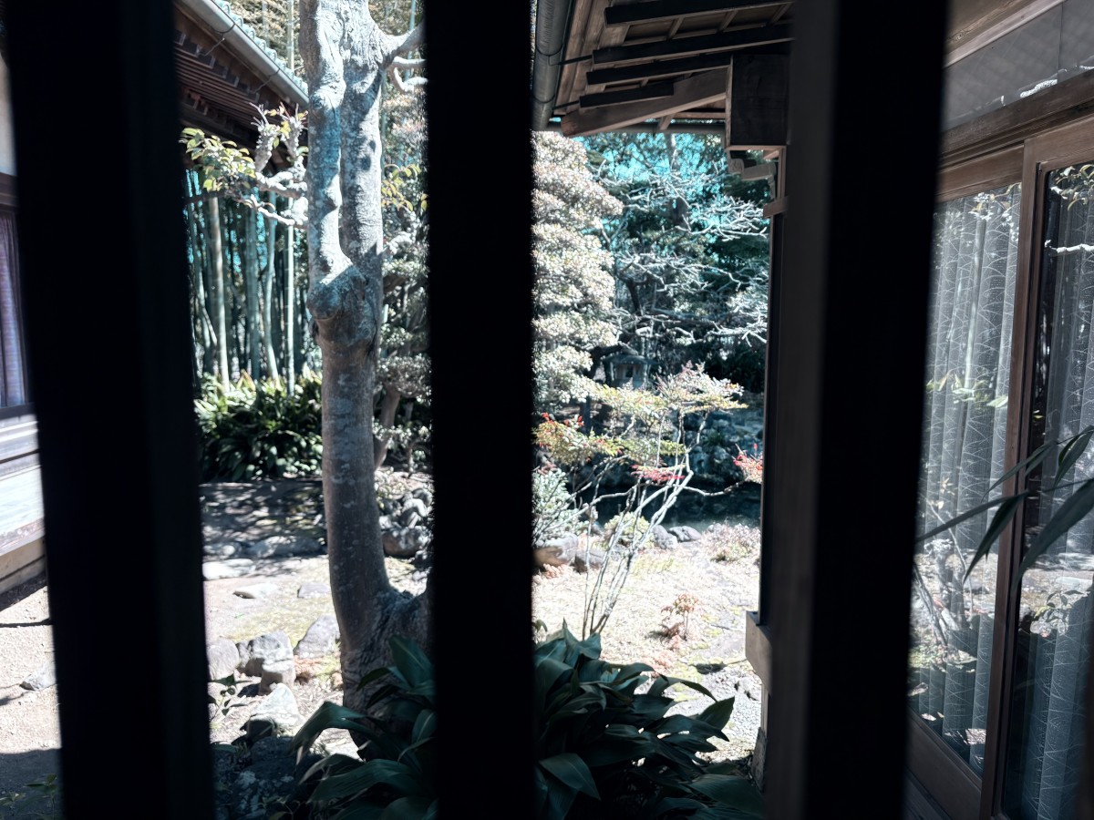 お寺の中庭に降り注ぐ陽射しがとてもきれいだった。