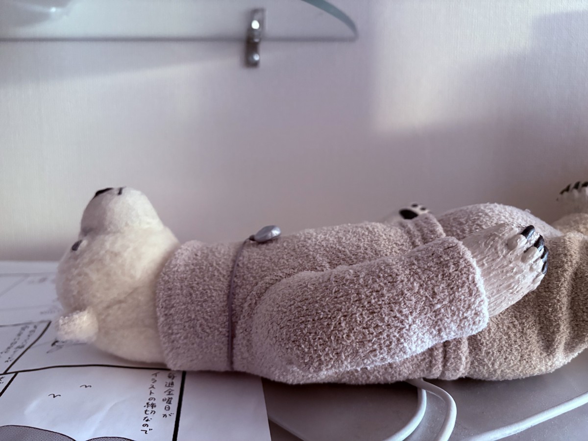 梅津恭子さんから白くまのぬいぐるをプレゼントしていただいた。