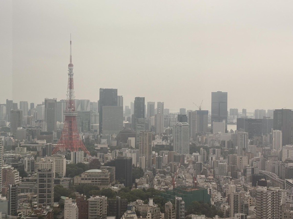 ガスっているようにも見えた。今日は、東京タワーが近くに感じた。