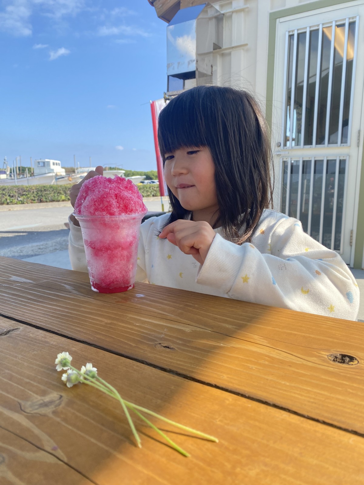 沖縄4日目、風邪を自覚し重い身体を引きずりながらことりとお散歩をしたときの写真。沖縄出発前日まで腹痛に苦しみ、なんとか回復したのに、4日目に発熱してダウン。ごはんお酒を美味しく食べきれない悲しい滞在になってしまった。リベンジしたい。