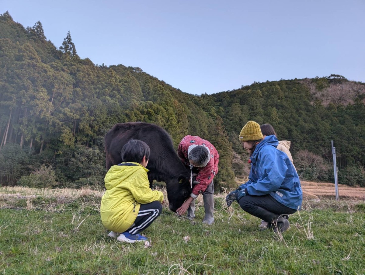 外山家の牛、さくらと戯れるゆづくんと私たち