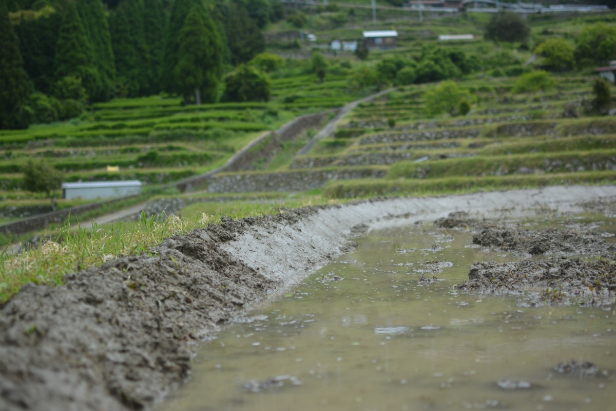 5月は棚田の作業真っ盛りだった。畦塗りは好きな作業だ。でも二時間で一枚塗れるかどうか。タイパの対極