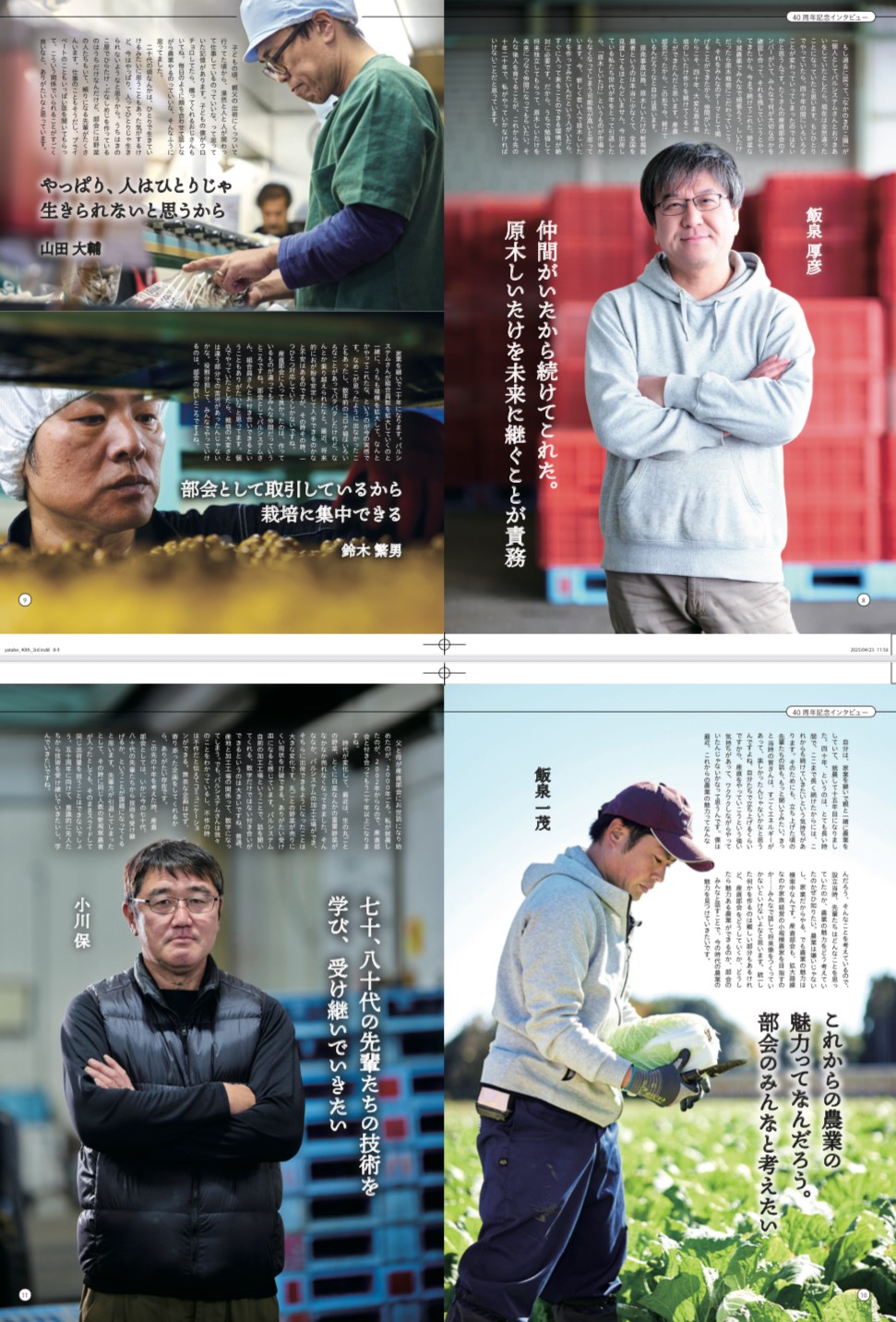 校了直前の校正紙より。JAつくば市谷田部産直部会は全国的なJA統合の波の中「つくば市の谷田部地区」だけで単体の農協を維持している。若手後継者もたくさんおり、じつは奇跡みたいなことをやってのけている