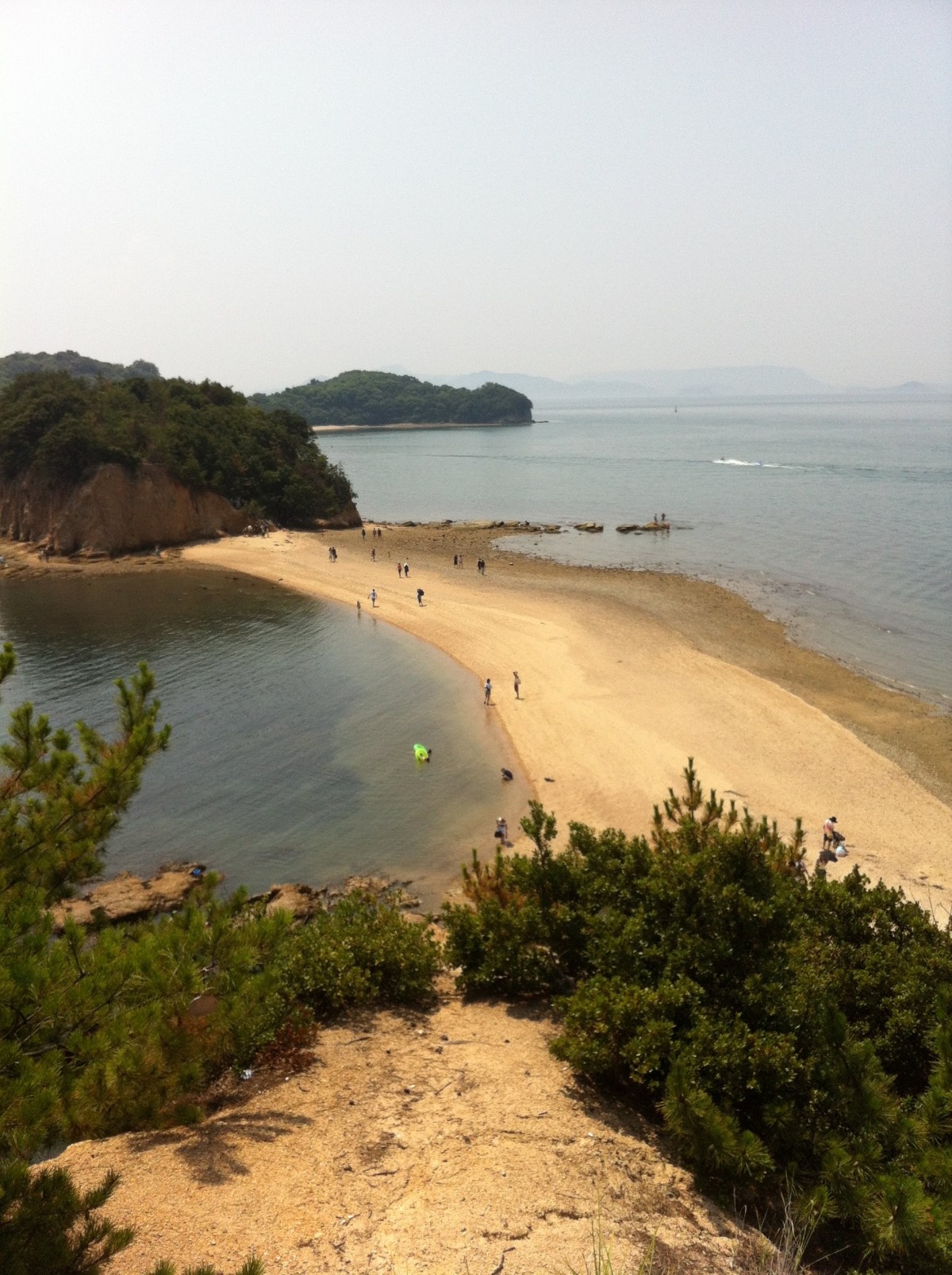 頂上からの風景。