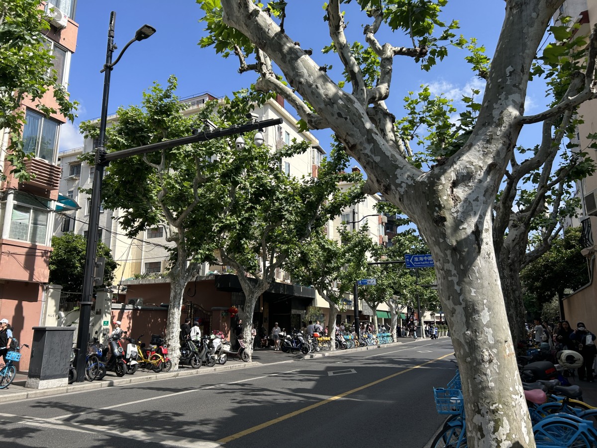 フランス人はわりといいことをしたんじゃないか。
